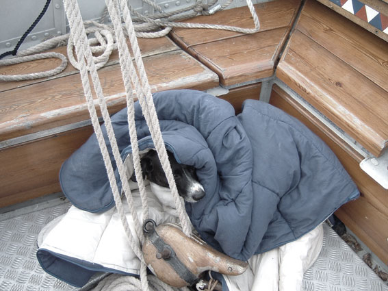 oh, was ik maar bij moeder thuisgebleven!!